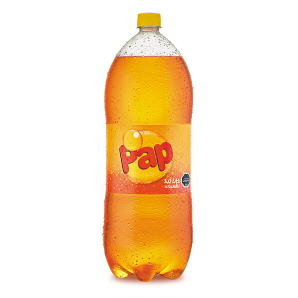 Bebida Pap 3 Lts.