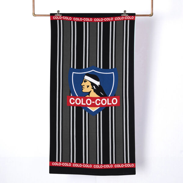 Toalla de Playa 70x140 cm + Bolso / ColoColo Grises - Mashini