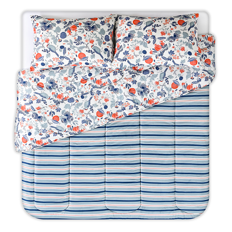 Plumón Estampado 2.5 Plazas / Citrus - American Family by Cannon - Imagen 3